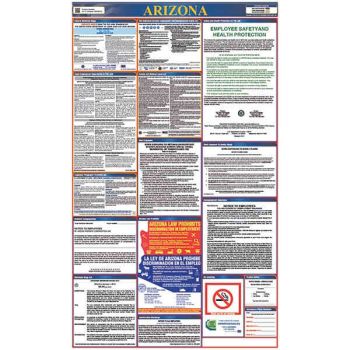 Arizona All in One Labor Law Poster